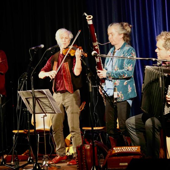 Bild enthält, Concert, Person, Group Performance, Music Band, Musical Instrument, Adult, Male, Man, Violin, Stage