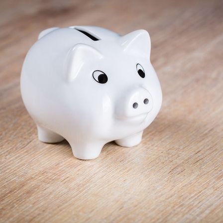 Bild enthält, Animal, Mammal, Pig, Piggy Bank