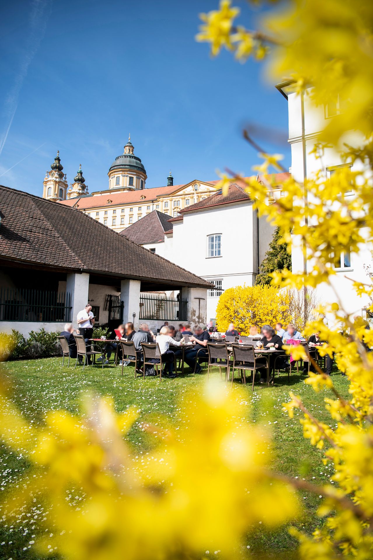 A group of people are dining outside in a courtyard with a backdrop of historic buildings and blooming yellow flowers.