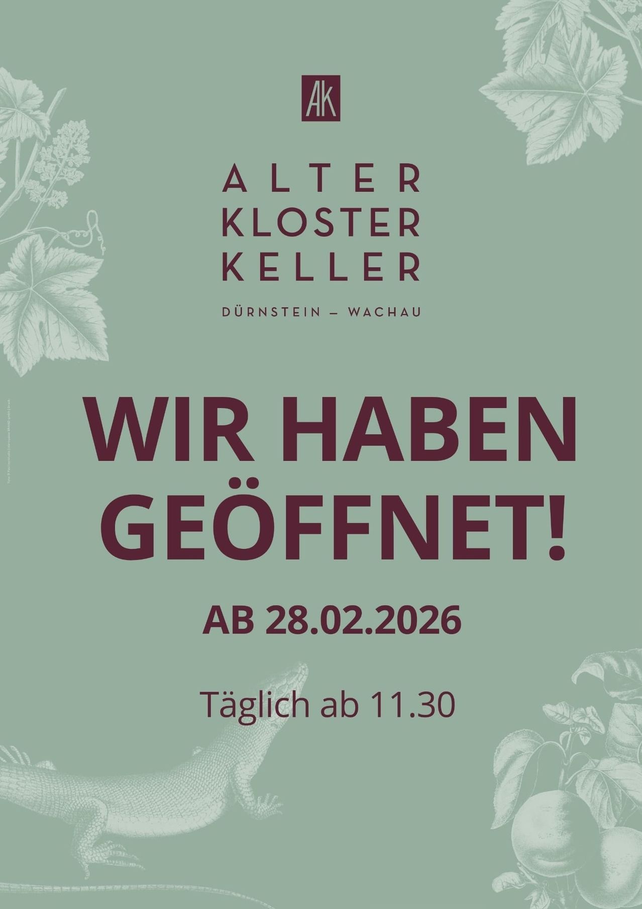 Werbeplakat, das die Eroffnung von Alter Kloster Keller in Durnstein, Wachau, ab dem 28.02.2026 ankundigt. Tägliche Eroffnung ab 11:30 Uhr.