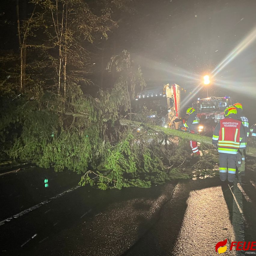 In der Nacht räumen Einsatzkräfte einen umgestürzten Baum, der die Straße blockiert. Ein Feuerwehrwagen ist in der Nähe geparkt.