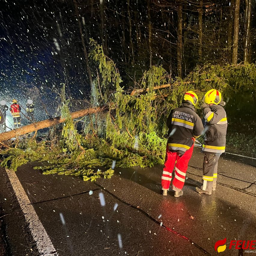 Feuerwehrleute arbeiten an der Entfernung eines umgestürzten Baumes von einer Straße bei Nacht unter schneereichen Bedingungen.