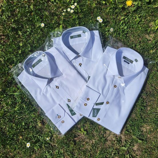 Drei hellblaue Hemden in Plastikverpackung auf einem Grasfeld mit weißen und gelben Blumen.