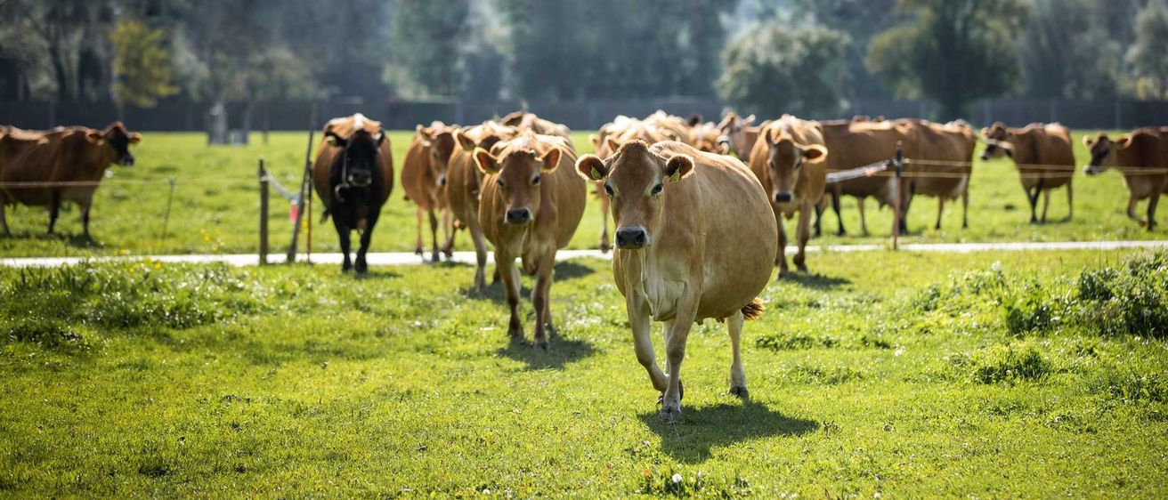 163107796_133644282096170_7909092659807687453_n