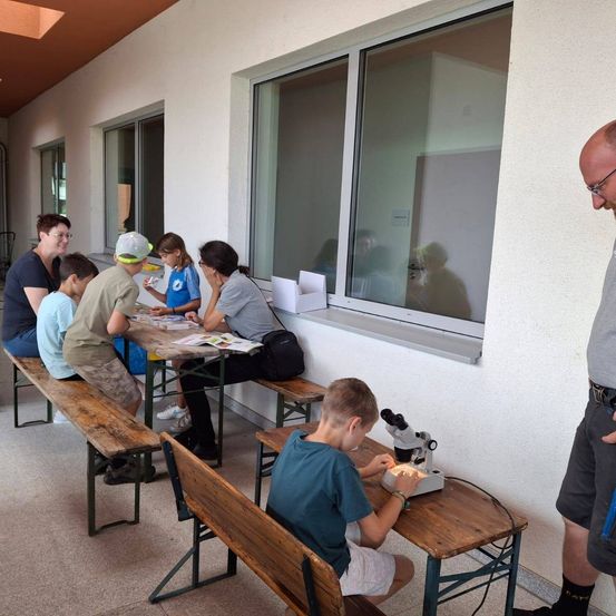 Mehrere Kinder und Erwachsene sitzen um einen Tisch herum und beobachten etwas durch ein Mikroskop. Ein Junge vorne konzentriert sich auf das Mikroskop. Der Raum hat große Fenster.