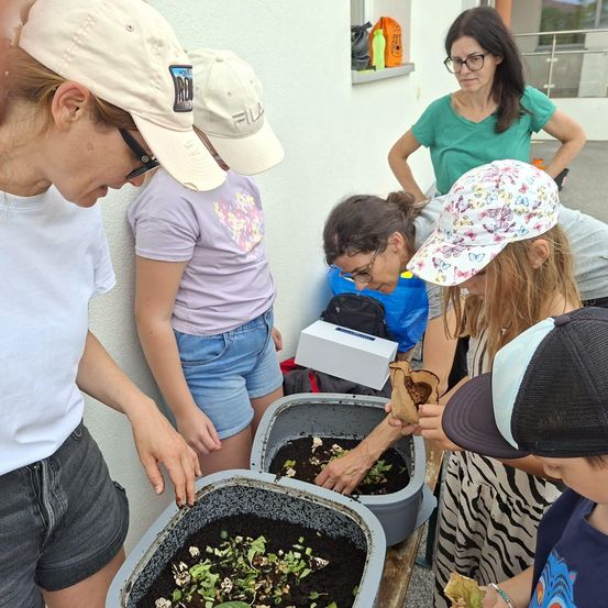 Eine Gruppe von Erwachsenen und Kindern versammelt sich um einen Tisch mit Kompostbehältern und untersucht den Inhalt und diskutiert über Gartenarbeit.