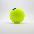 Tennisclub St. Salvator-Logo