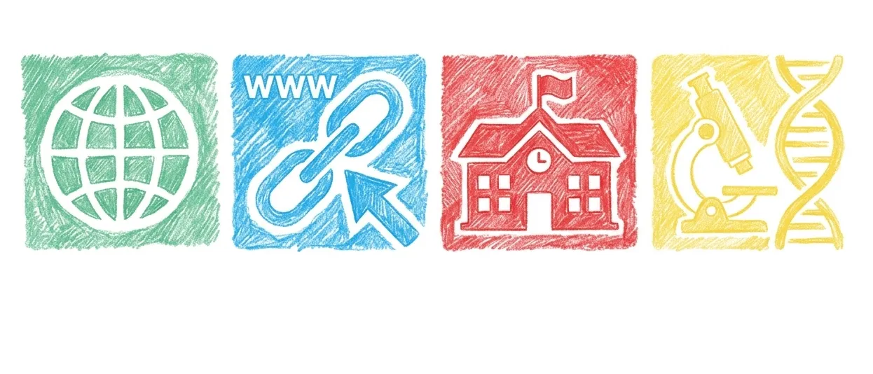 Vier Symbole: eine Erde mit www, ein Link-Symbol, ein Schulgebäude und eine Geldtasche.