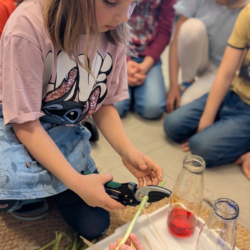 Ein junges Mädchen schneidet einen grünen Stiel mit einer Schere, während sie mit anderen Kindern auf dem Boden sitzt. Der Stiel liegt auf einem weißen Tablett mit einer roten Flüssigkeit in einer Glasflasche.