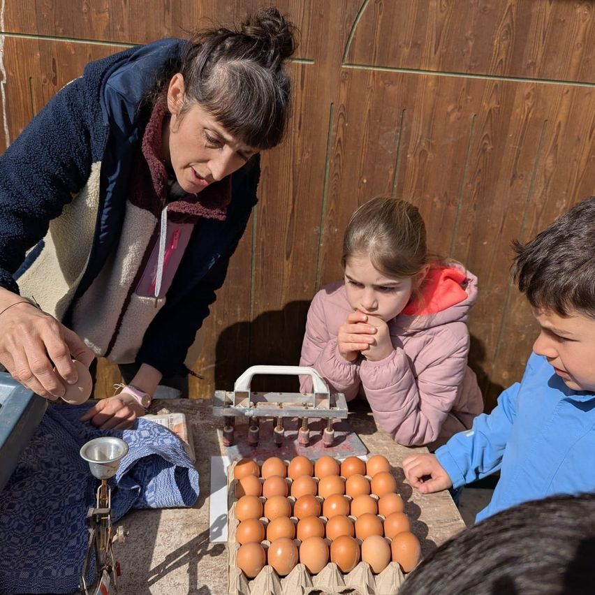 Eine Frau und zwei Kinder untersuchen Eier auf einem Tisch. Die Frau hält ein Ei und betrachtet es genau. Die Kinder schauen interessiert auf die Eier.