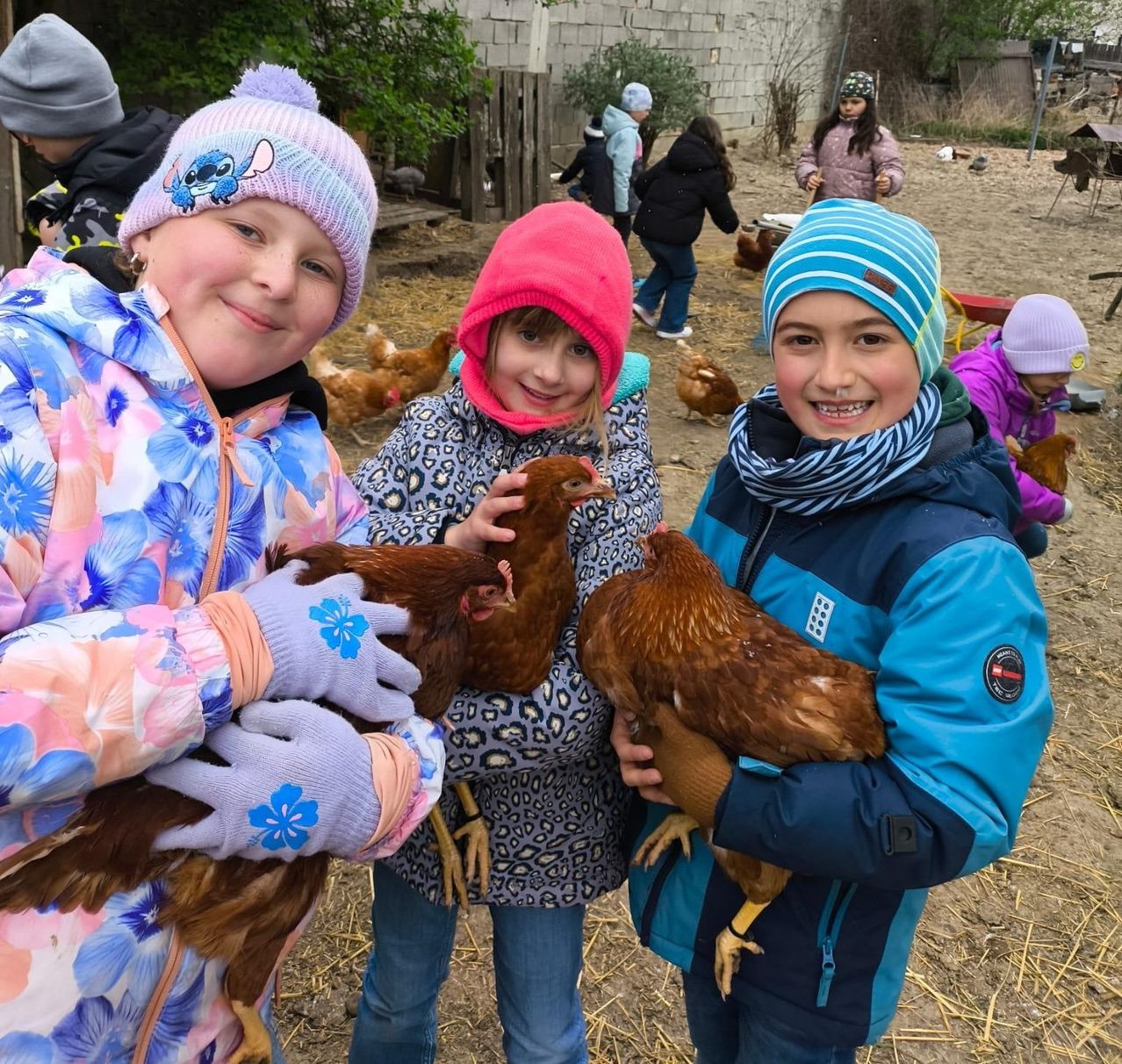 Drei Kinder in Winterkleidung halten Hühner. Ein Kind trägt einen Hut mit einem Cartoon-Charakter und ein anderes hat Handschuhe mit Blumendesigns. Sie stehen auf einem Bauernhof mit einer Holzstruktur und trockenem Gras.