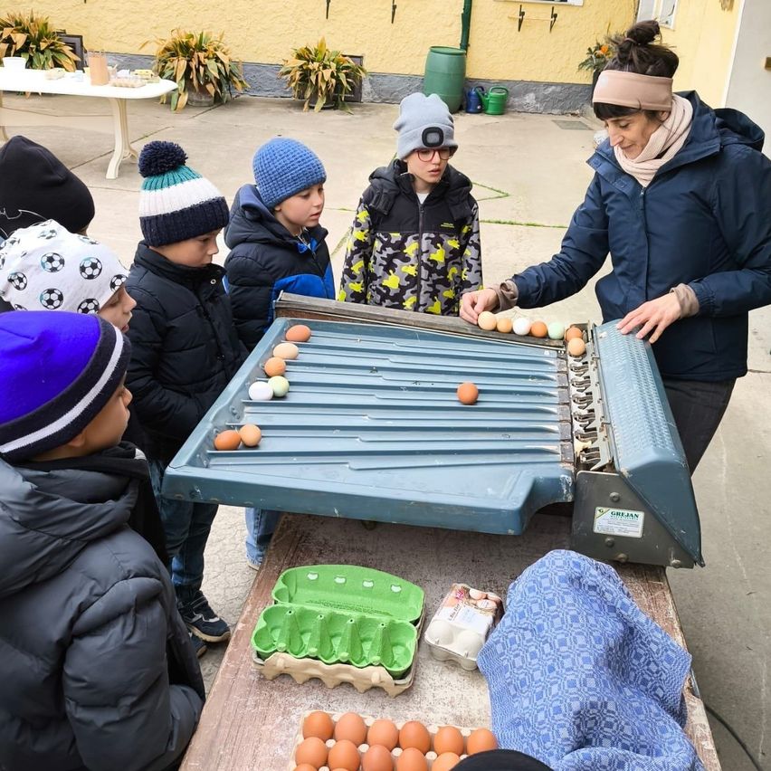Eine Frau mit Kindern sortiert Eier in Kartons an einem Tisch im Freien.