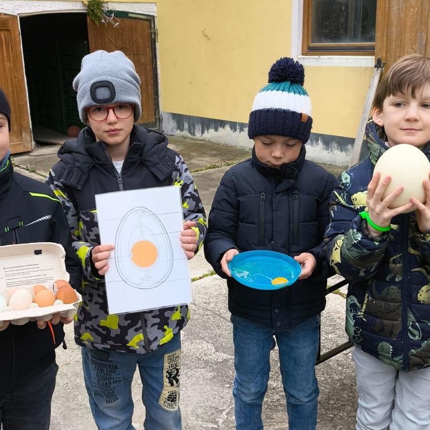 Vier Jungen stehen draußen, gekleidet für kaltes Wetter. Ein Junge hält ein Ei in der Hand, während ein anderer einen Teller mit Eigelb hält. Ein weiterer Junge hält ein Eidiagramm und ein vierter hält eine Schachtel mit Eiern.