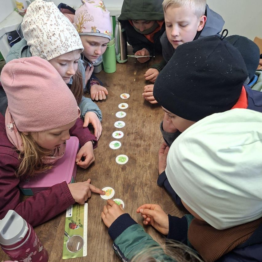 A group of children with beanies are sitting around a wooden table, looking at small cards with pictures of birds and plants. They are likely engaged in an educational activity.