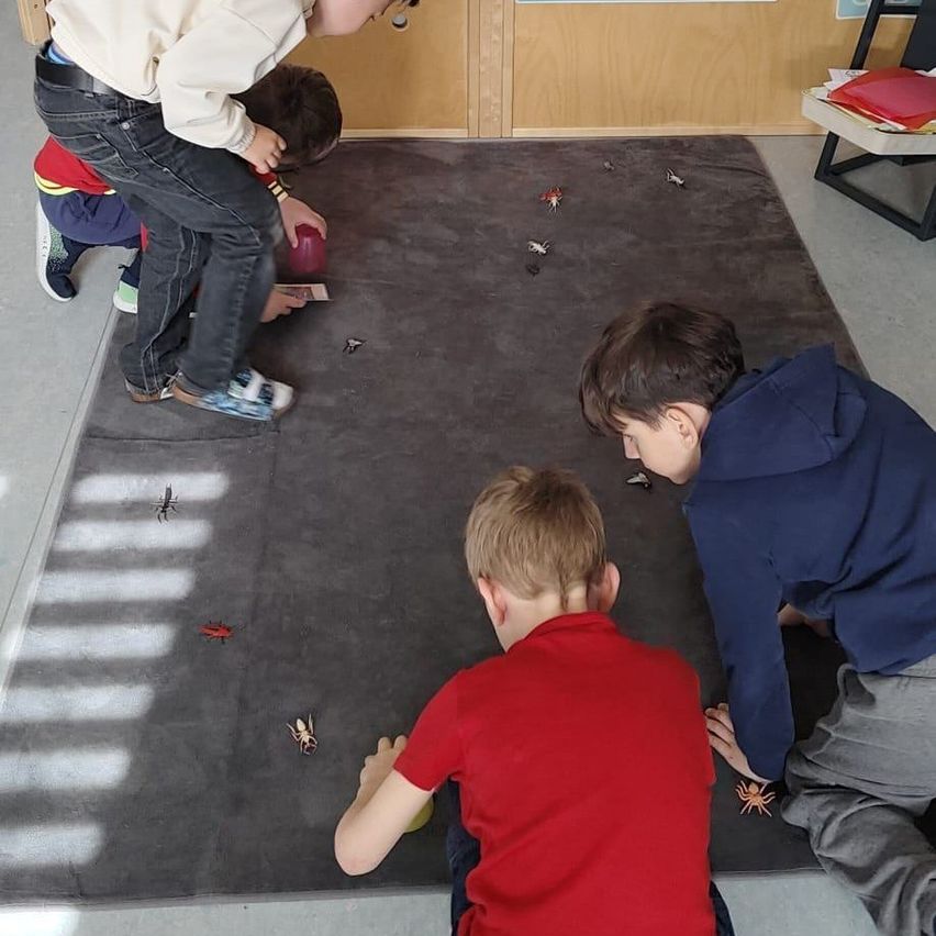 Eine Gruppe von Kindern spielt auf einem Teppich mit Insekten, wobei ein Kind ein rotes Shirt und ein anderes eine blaue Jacke trägt.