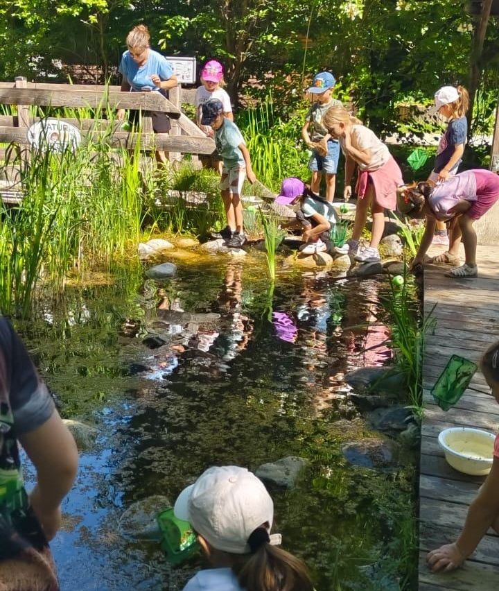 Kinder und Erwachsene sind an einer Teichaktivität beteiligt, manche beugen sich vor, andere stehen herum. Grünpflanzen umgeben den Teich mit einer Holzbrücke im Hintergrund.