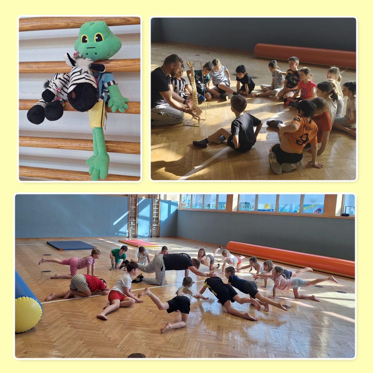 Drei Bilder zeigen eine Gruppe von Kindern in einer Turnhalle. Ein grüner Plüschfrosch ist auf der Treppe, während andere sitzen oder Bodenübungen machen.
