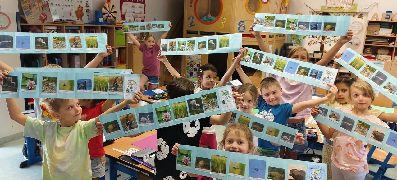Eine Gruppe von Kindern hält Karten mit Bildern von Tieren und Pflanzen hoch. Sie befinden sich in einem Klassenzimmer mit Schreibtischen und Regalen mit Büchern und Spielzeug.