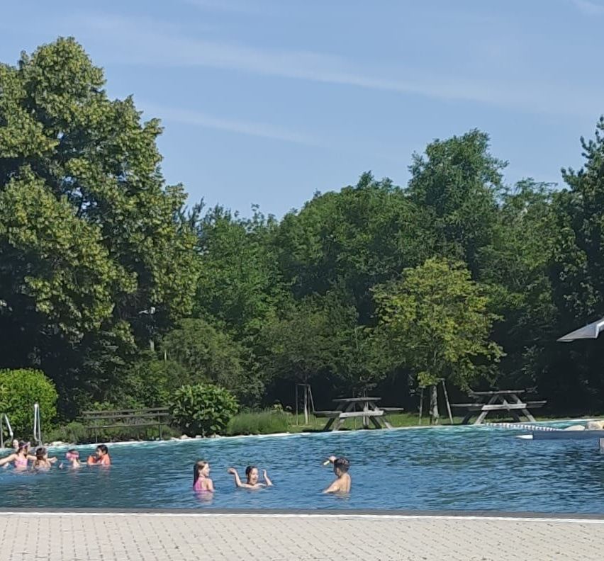 Eine Gruppe von Menschen schwimmt in einem Pool, umgeben von Grün, Picknicktischen und Bäumen unter blauem Himmel.