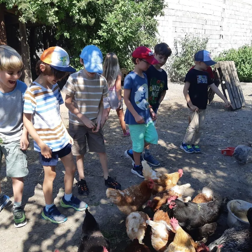 Eine Gruppe von Kindern steht in einer Außenumgebung um Hühner herum, in der Nähe einer Holzstruktur und Grün.