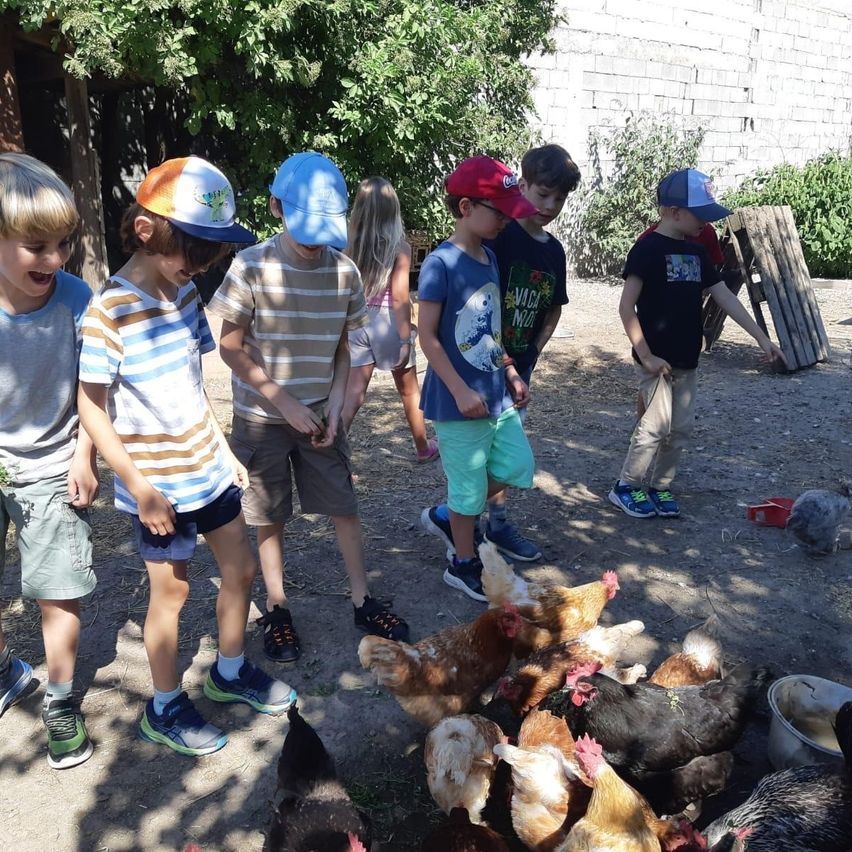 Eine Gruppe von Kindern steht in einer Außenumgebung um Hühner herum, in der Nähe einer Holzstruktur und Grün.