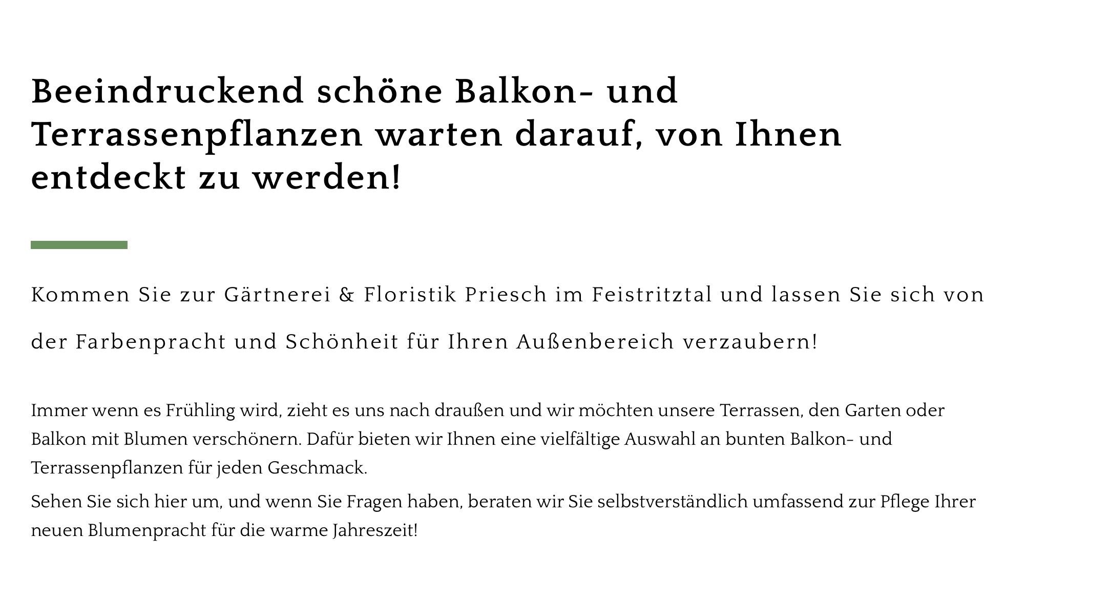 Schöne Balkon- und Terrassengestaltung von Florist Priesch. Wir laden Sie ein, die Schönheit Ihrer Außenbereiche zu erleben. Wir bieten eine Vielzahl bunter Balkondesigns. Bei Fragen sind wir für umfassende Beratung im ganzen Jahr da.