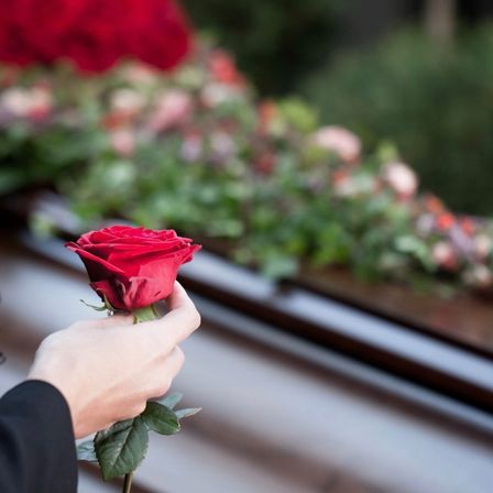 Eine Person hält eine einzelne rote Rose in der Hand vor einem Sarg. Im Hintergrund sind verschiedene Blumen und Grünpflanzen zu sehen.