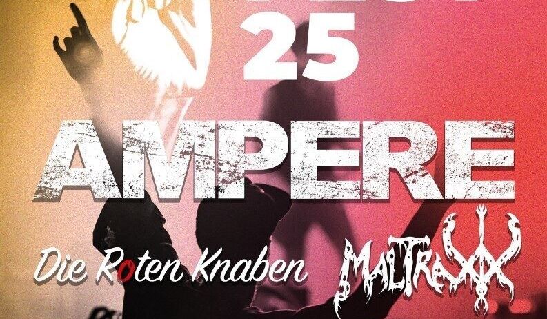 Festivalplakat für LZ Fest 25 Ampere mit den Bands Die Roten Knaben, Matraviss, Horse of Another Colour, Zeno Elektrik und Miss Sophie & The Graves.