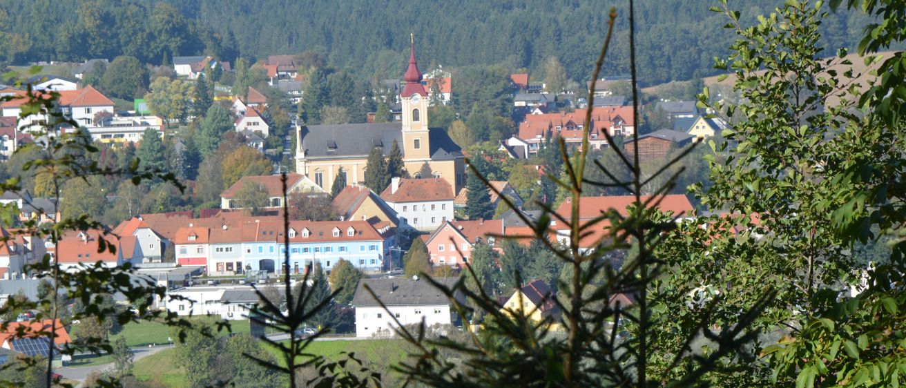 Ein Panoramablick auf eine von Bäumen und Bergen umgebene Stadt. Die Stadt hat viele Gebäude mit roten Dächern und eine auffällige Kirche mit Turm.