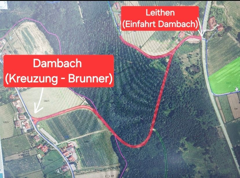 Eine Karte mit einer roten Linie, die eine Route von Dambach nach Lethen zeigt, die durch Einfahrt Dambach führt. Die Karte zeigt verschiedene Straßen, Felder und ein kleines Dorf.