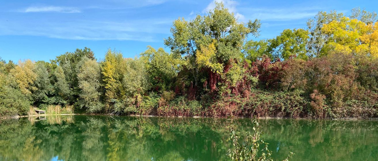 Bild enthält, Nature, Outdoors, Scenery, Pond, Water, Lakefront, Grass, Park, Vegetation, Lake