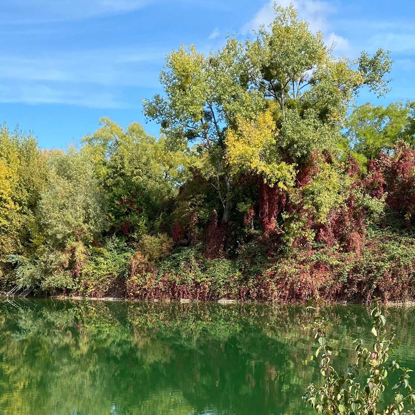 Bild enthält, Nature, Outdoors, Scenery, Pond, Water, Lakefront, Grass, Park, Vegetation, Lake
