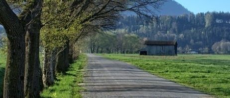 Bild enthält, Nature, Outdoors, Scenery, Landscape, Grass, Panoramic, Tree, Countryside, Road, Rural