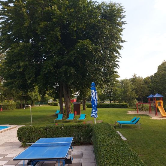 Bild enthält, Ping Pong, Sport, Person