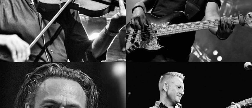 Bild enthält, Guitar, Musical Instrument, Adult, Male, Man, Person, Microphone, Face, Violin, Concert