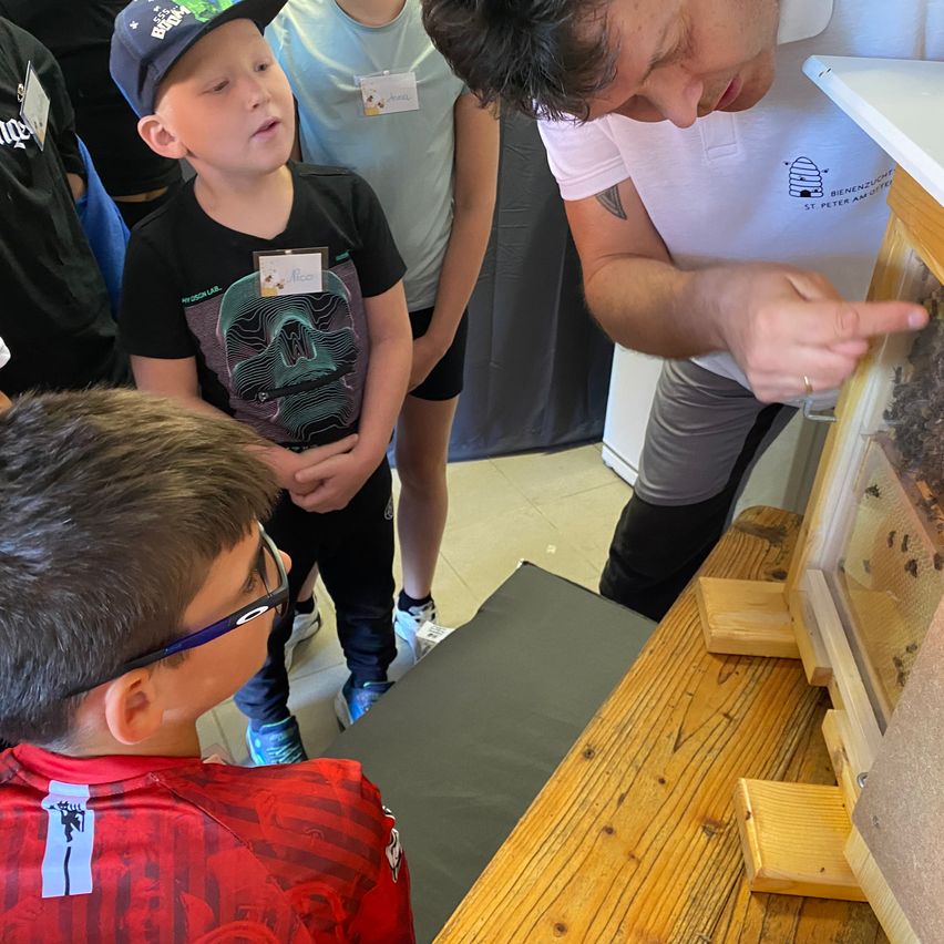 Ein Mann in einem weißen T-Shirt zeigt auf eine Bienenwabe in einem Holzrahmen, während ein Junge in einem roten T-Shirt und ein Junge in einem schwarzen T-Shirt mit einer Kappe zusehen.