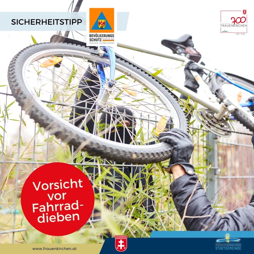 Bild enthält, Clothing, Glove, Wheel, Bicycle, Vehicle, Mountain Bike, Adult, Male, Man, Person