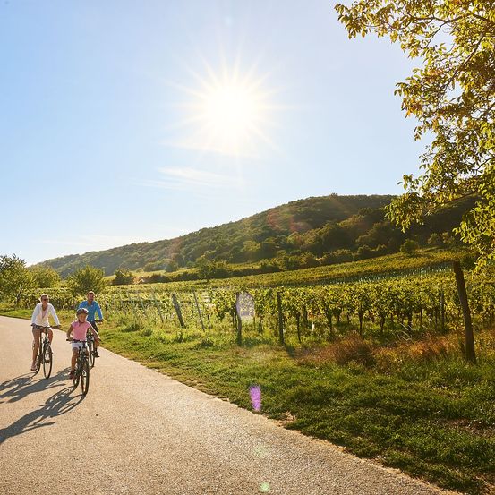 Bild enthält, Path, Nature, Outdoors, Person, Shoe, Sky, Walking, Summer, Countryside, Bicycle