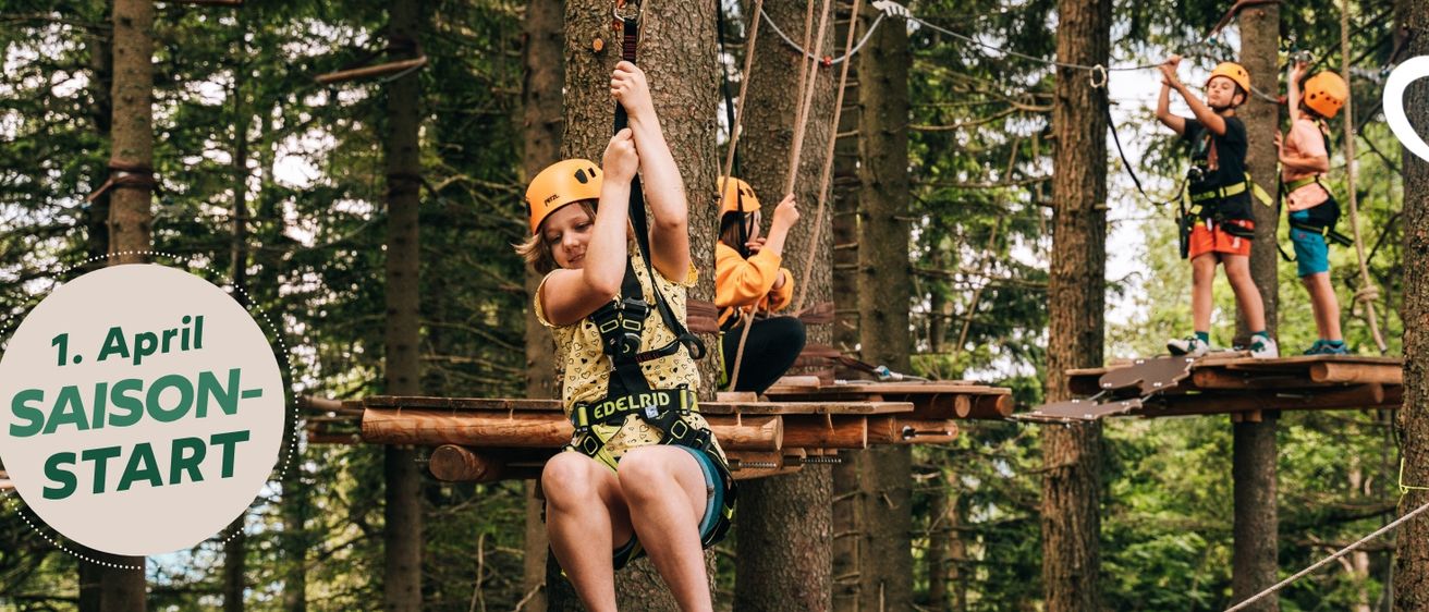 Ein Mädchen in einem gelben Shirt und Helm klettert eine Baumseilbahn, während eine andere Person von unten zuschaut.