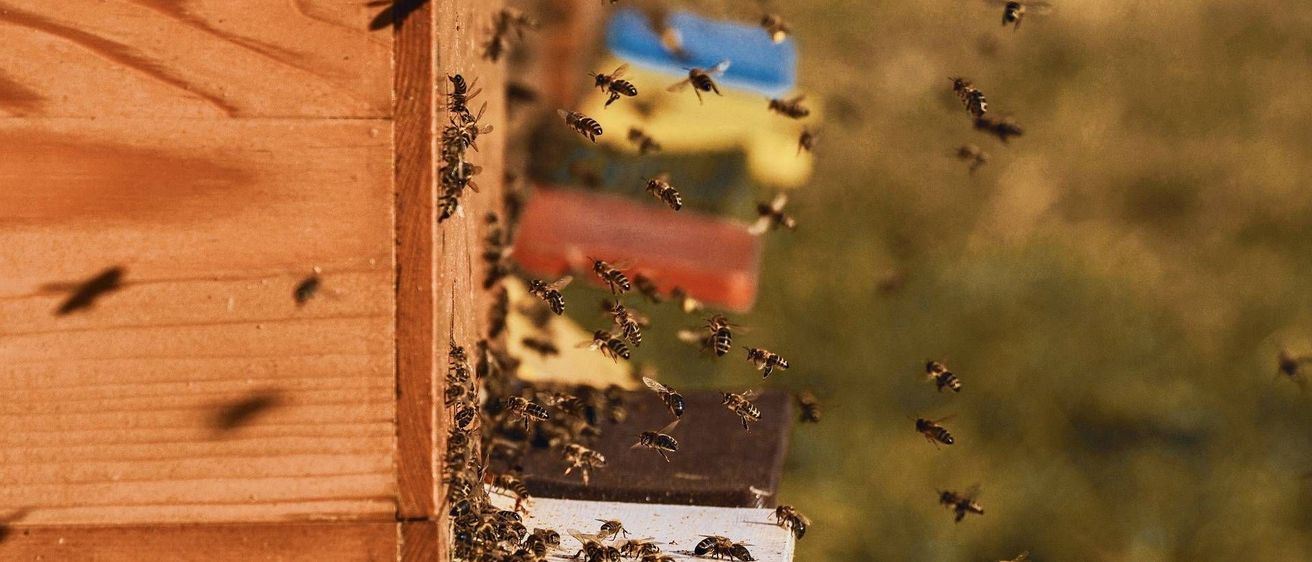 v1_migrated_image_63657808