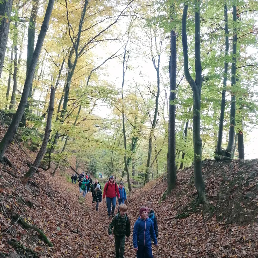 Eine Gruppe von Kindern und Erwachsenen wandert auf einem Waldweg, umgeben von hohen Bäumen mit Herbstlaub. Einige tragen Jacken, andere Mützen. Der Boden ist mit Laub bedeckt.
