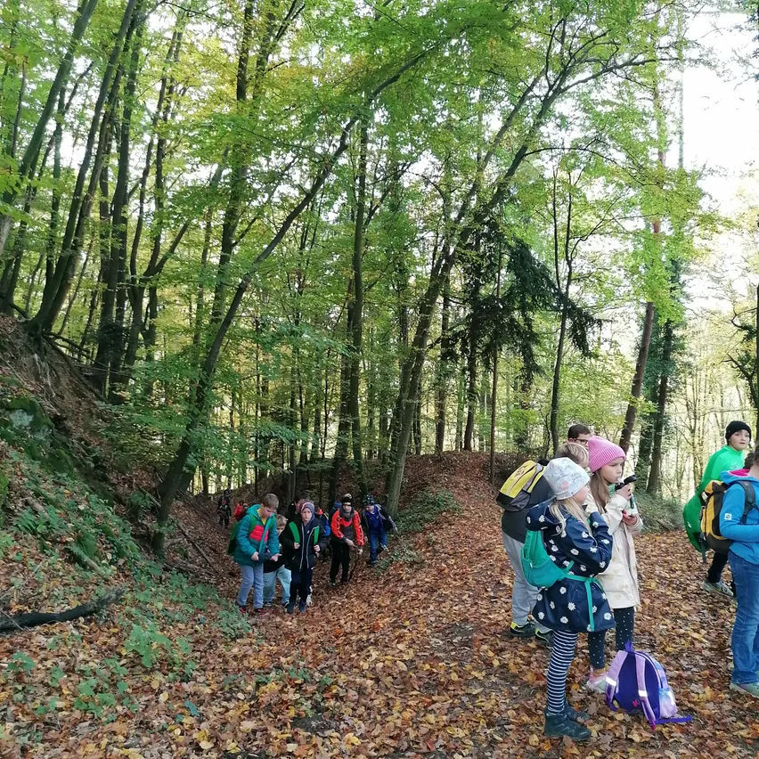Eine Gruppe von Kindern mit Rucksäcken wandert im Wald, einige gehen auf einem schmalen Pfad, während andere stehen und zuschauen.