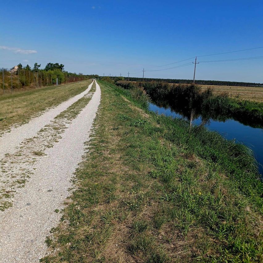 Ein Kiesweg verläuft neben einem Kanal mit üppigem Grün auf beiden Seiten unter einem klaren blauen Himmel.