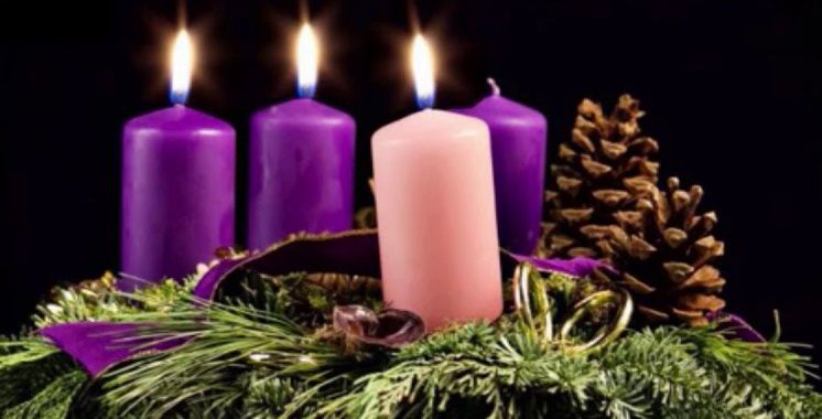 Four purple and pink candles are lit, with pine cones and green foliage on a black background.