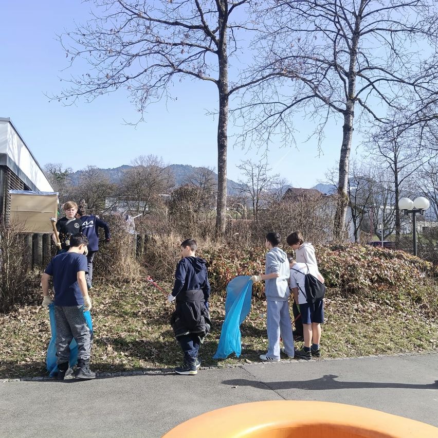 Several people in blue gloves are standing in an outdoor area, cleaning up. They are holding blue bags. Behind them is a slope with grass and plants. There are trees and a house in the distance.