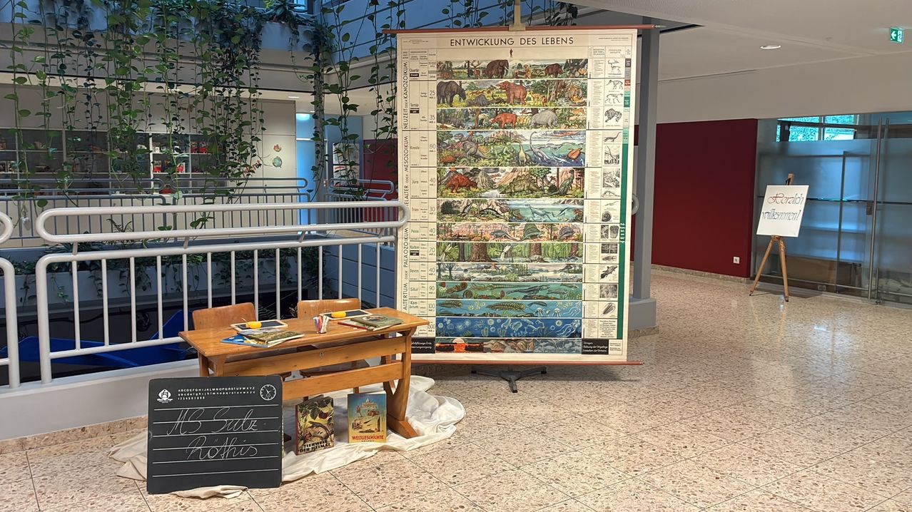 A large educational poster depicting the evolution of life hangs on a wall, with a wooden desk and books in front of it.