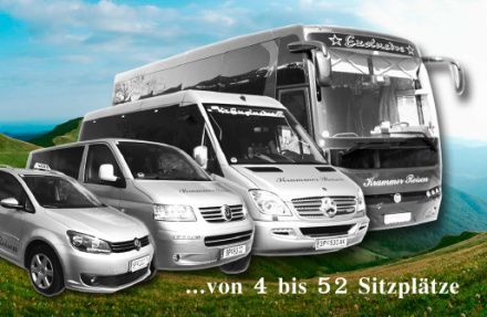 Bild enthält, Transportation, Van, Vehicle, Car, Bus, Minibus, Machine, Wheel, Caravan