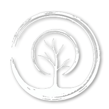 v1_migrated_image_95762843