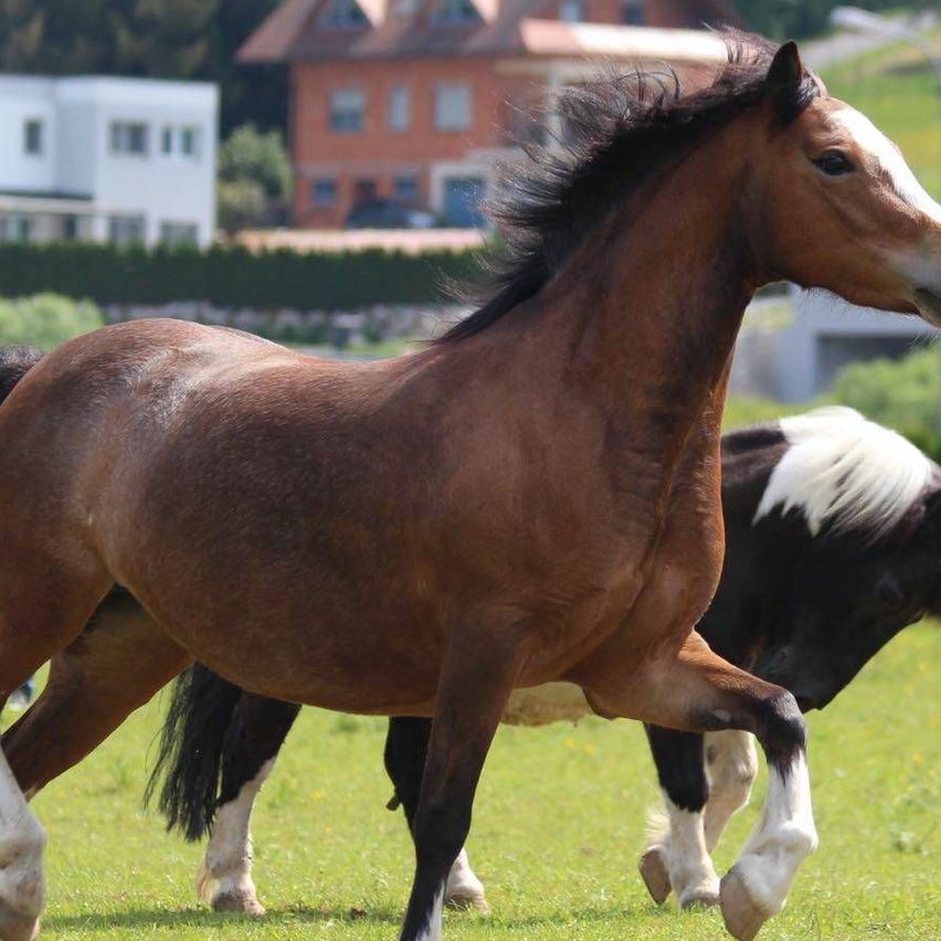 v1_migrated_image_42665338