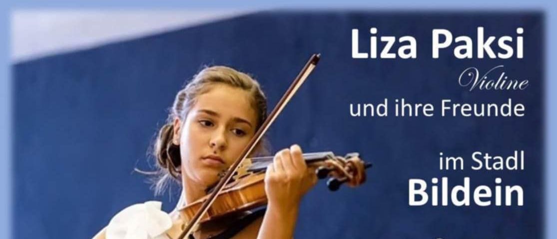 Bild enthält, Musical Instrument, Violin, Advertisement, Baton, Stick, Poster